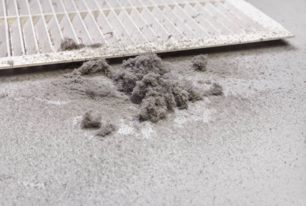 Best Affordable HVAC Duct Cleaning  in Whitesboro, NY